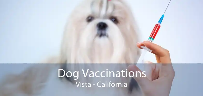 Dog Vaccinations Vista - California