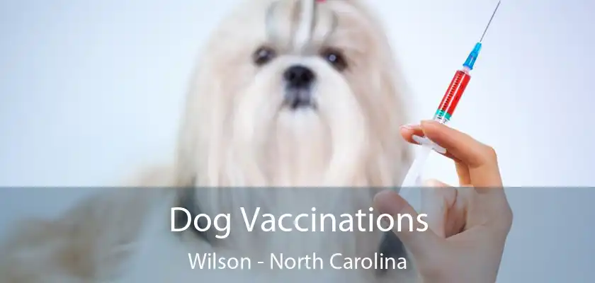 Dog Vaccinations Wilson - North Carolina
