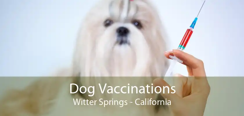 Dog Vaccinations Witter Springs - California
