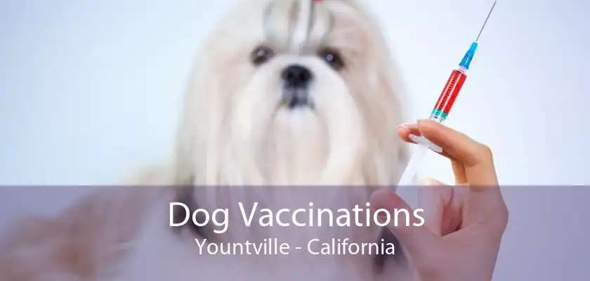 Dog Vaccinations Yountville - California