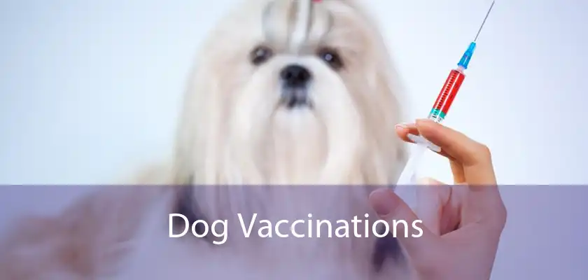 Dog Vaccinations 