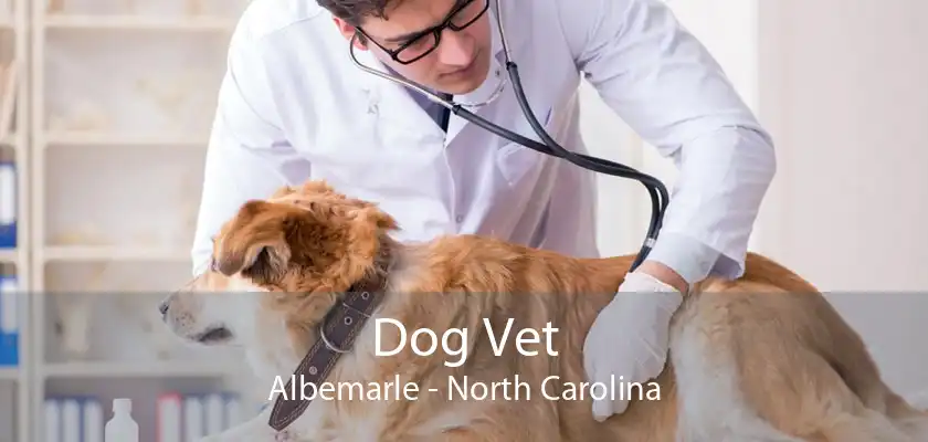 Dog Vet Albemarle - North Carolina