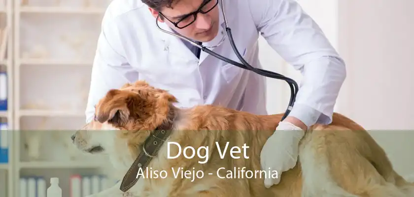 Dog Vet Aliso Viejo - California