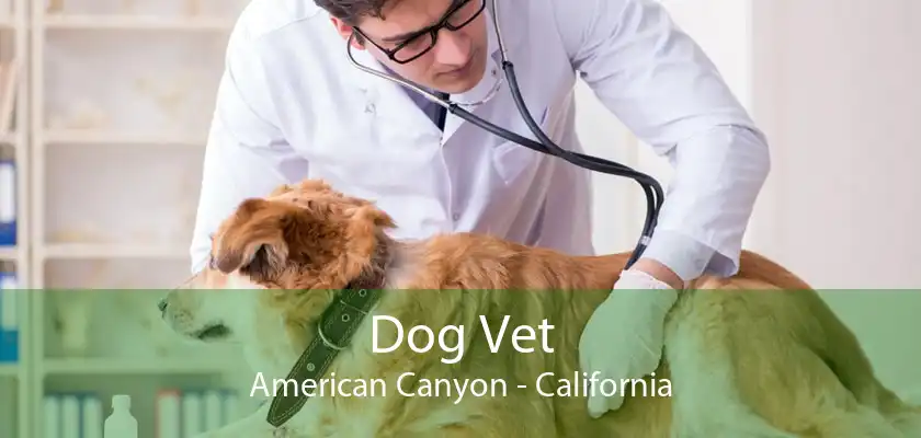 Dog Vet American Canyon - California