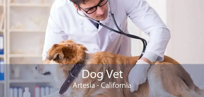Dog Vet Artesia - California