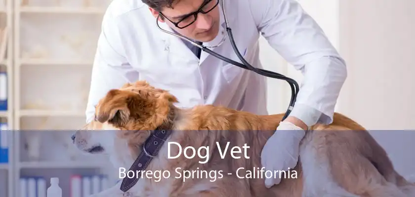 Dog Vet Borrego Springs - California