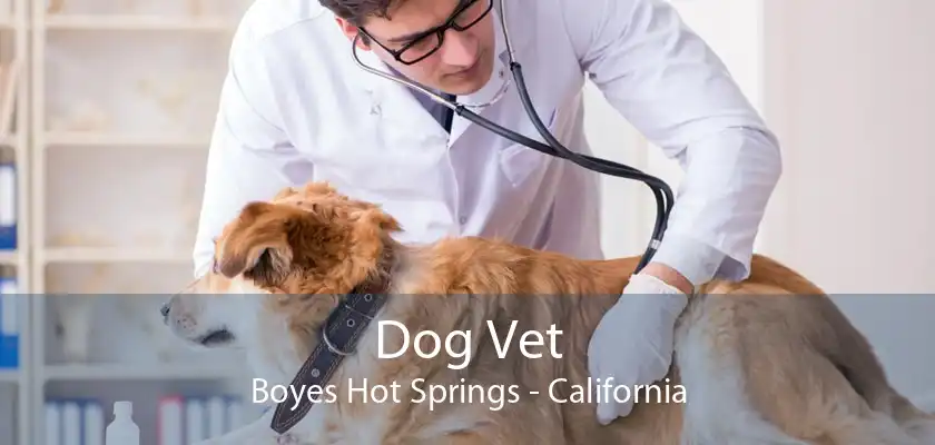Dog Vet Boyes Hot Springs - California