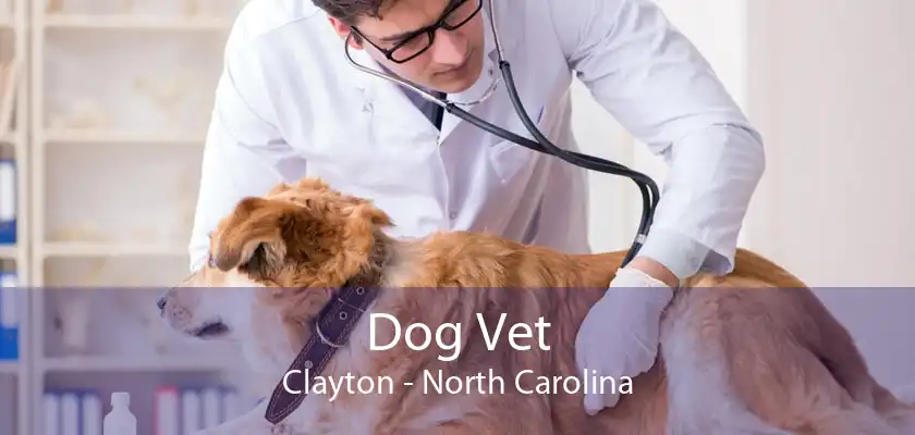 Dog Vet Clayton - North Carolina