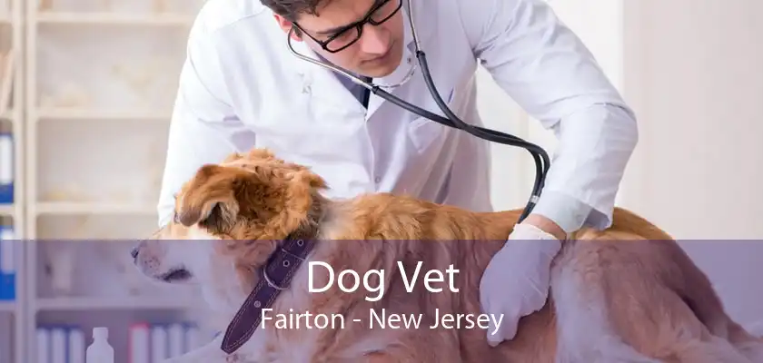 Dog Vet Fairton - New Jersey