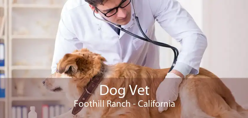 Dog Vet Foothill Ranch - California
