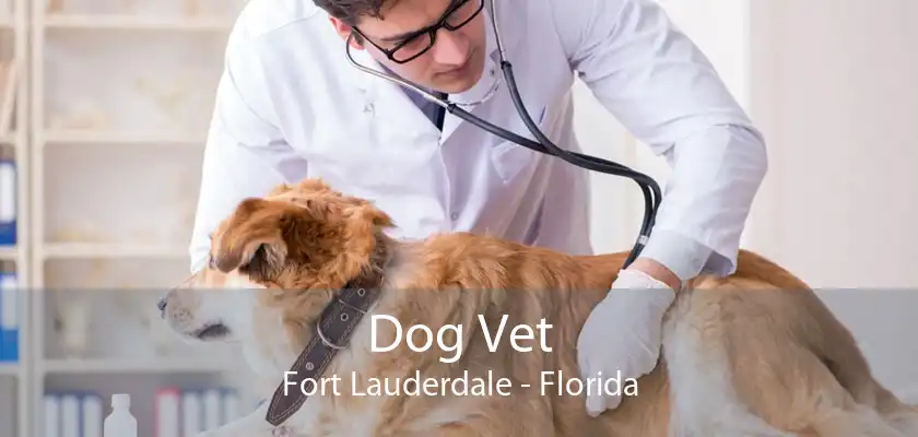 Dog Vet Fort Lauderdale - Florida