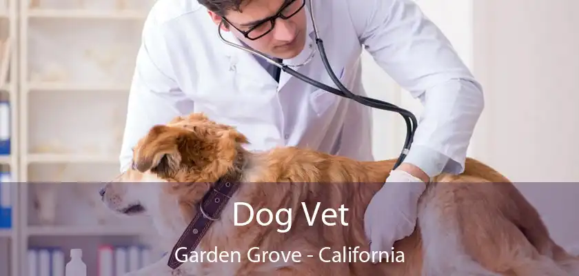 Dog Vet Garden Grove - California