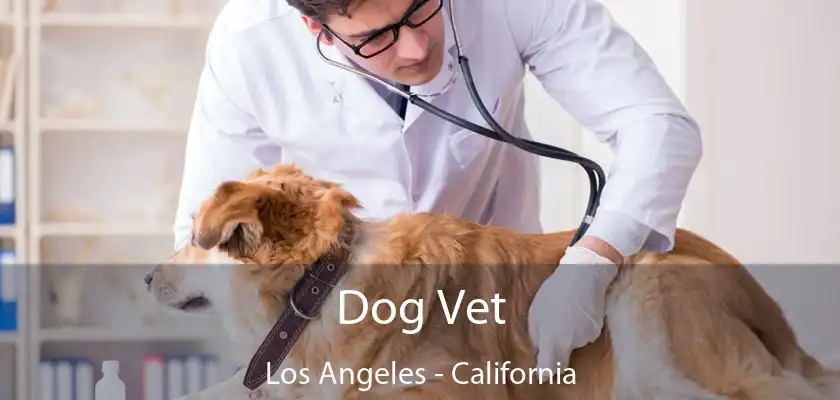 Dog Vet Los Angeles - California