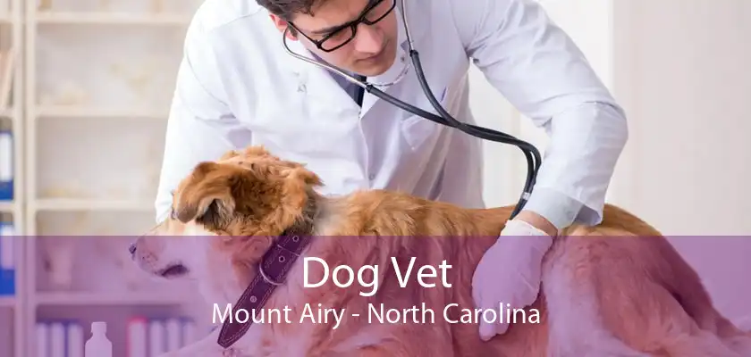 Dog Vet Mount Airy - North Carolina