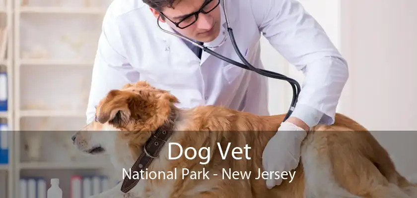 Dog Vet National Park - New Jersey