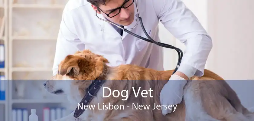 Dog Vet New Lisbon - New Jersey