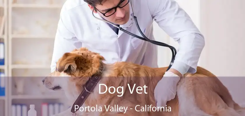 Dog Vet Portola Valley - California