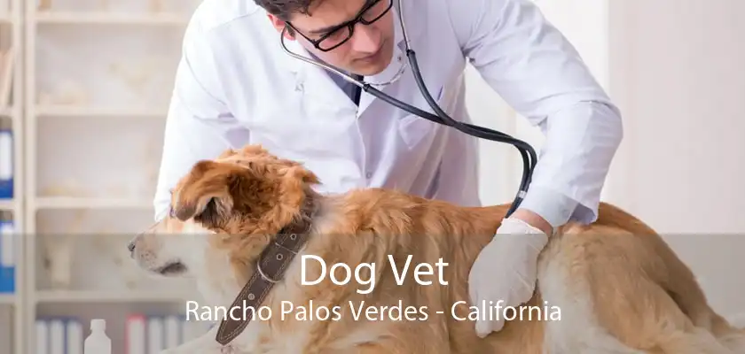 Dog Vet Rancho Palos Verdes - California