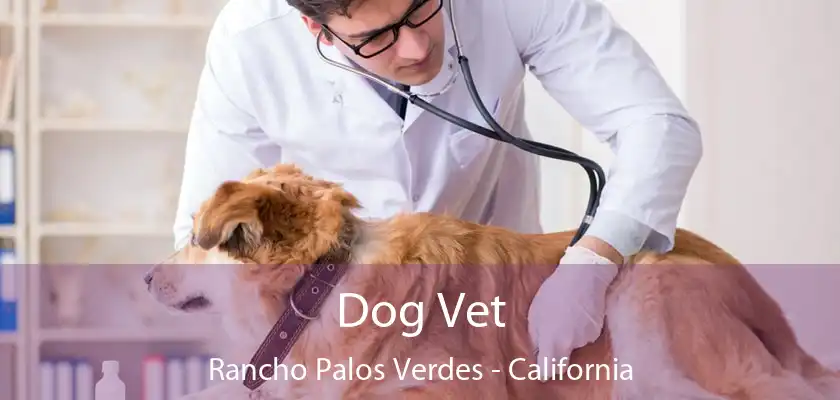 Dog Vet Rancho Palos Verdes - California