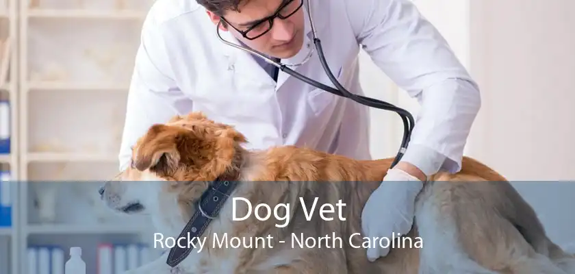 Dog Vet Rocky Mount - North Carolina