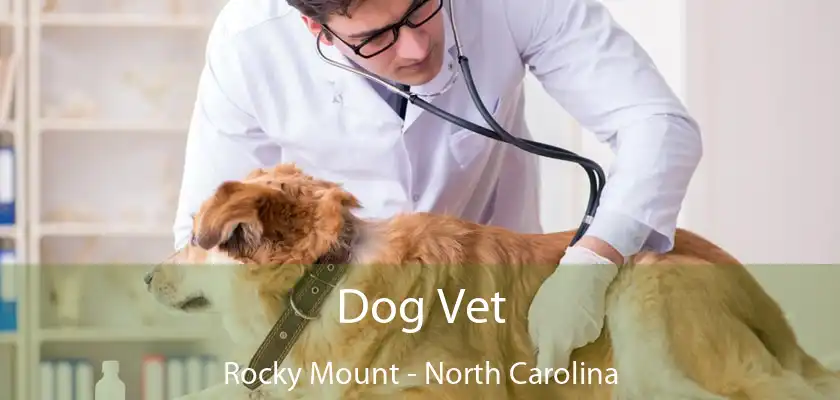 Dog Vet Rocky Mount - North Carolina