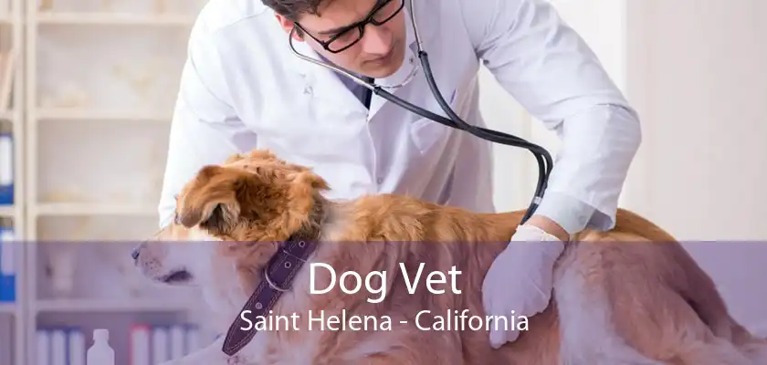 Dog Vet Saint Helena - California