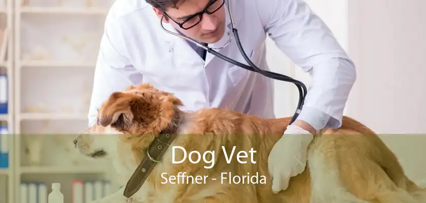 Dog Vet Seffner - Florida