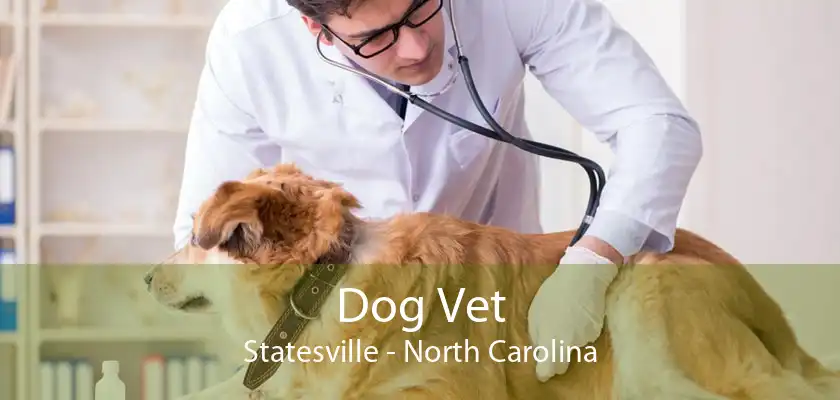 Dog Vet Statesville - North Carolina
