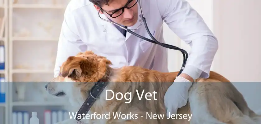 Dog Vet Waterford Works - New Jersey