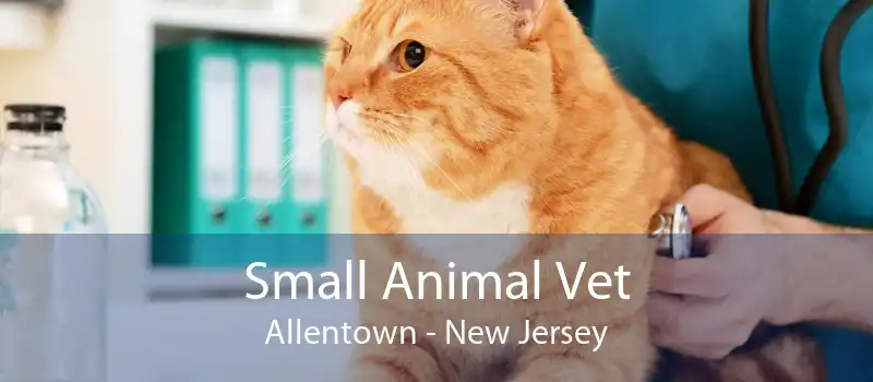 Small Animal Vet Allentown - New Jersey