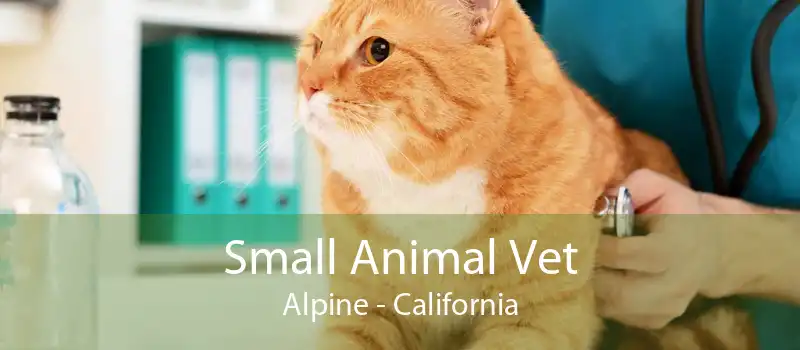 Small Animal Vet Alpine - California