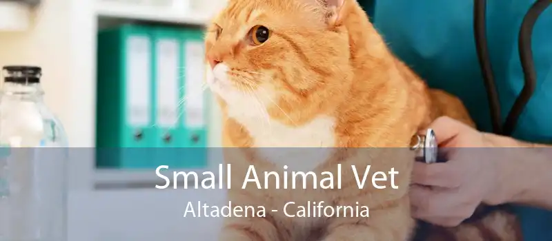 Small Animal Vet Altadena - California