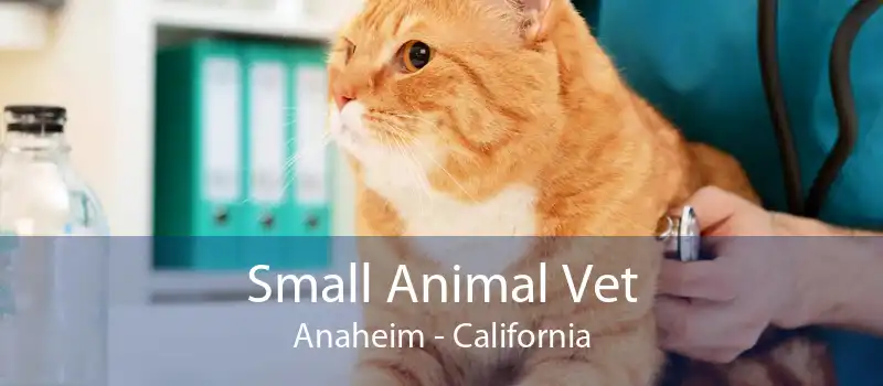 Small Animal Vet Anaheim - California