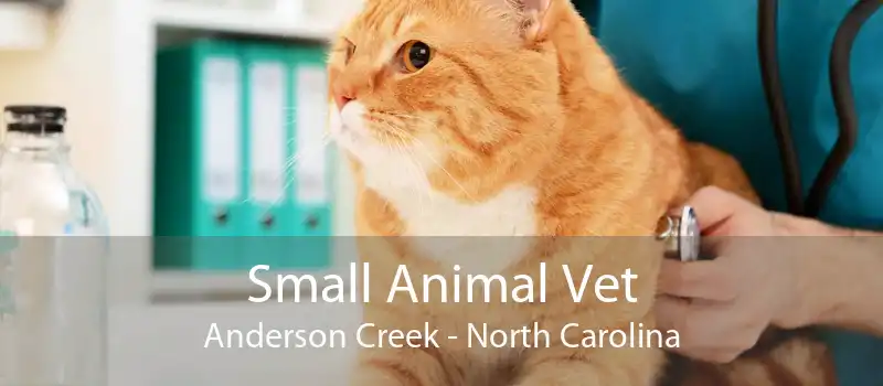 Small Animal Vet Anderson Creek - North Carolina
