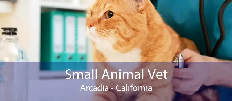 Small Animal Vet Arcadia - California