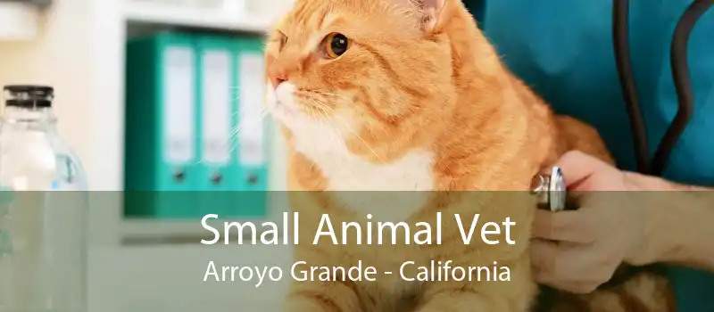 Small Animal Vet Arroyo Grande - California