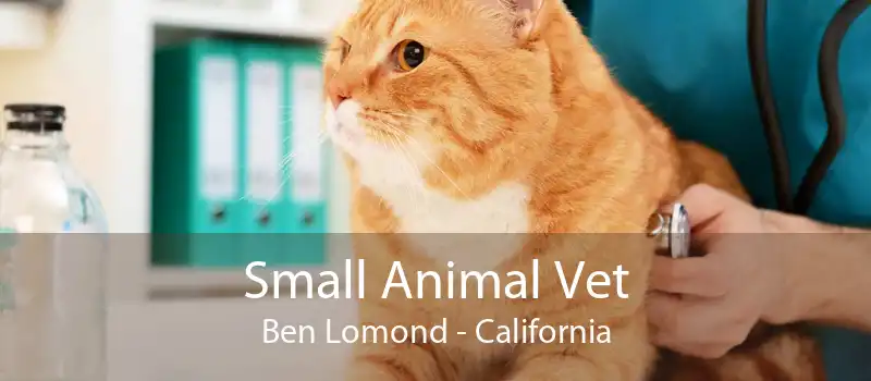 Small Animal Vet Ben Lomond - California