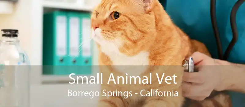 Small Animal Vet Borrego Springs - California