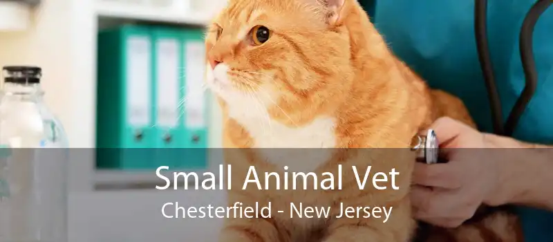 Small Animal Vet Chesterfield - New Jersey