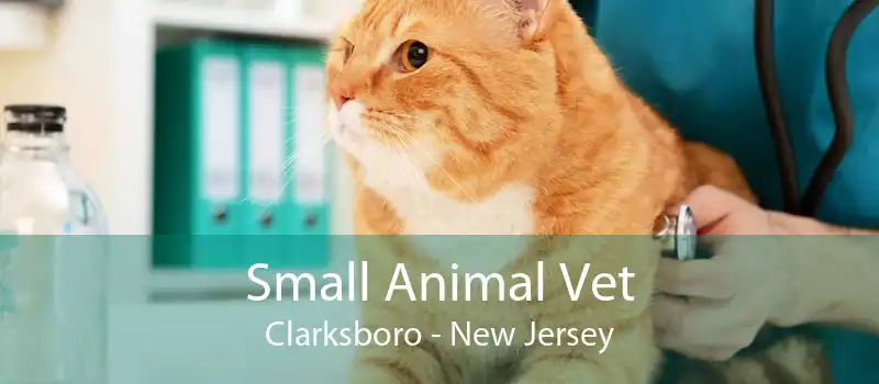 Small Animal Vet Clarksboro - New Jersey