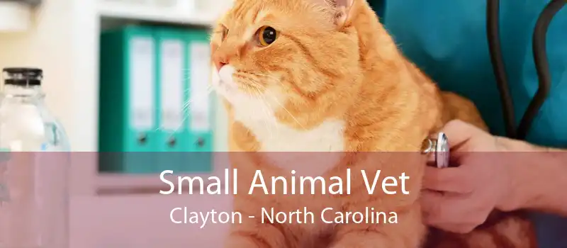 Small Animal Vet Clayton - North Carolina