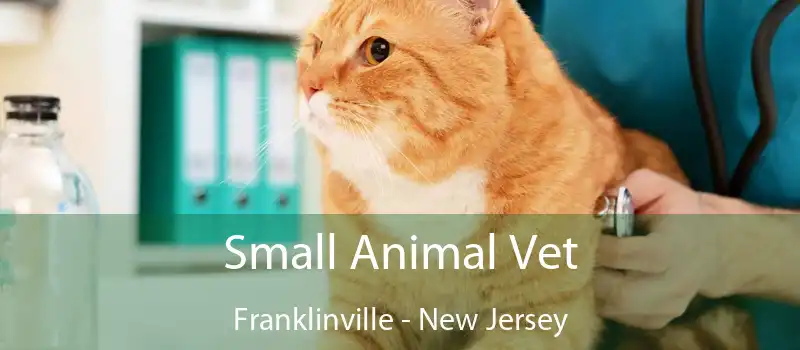 Small Animal Vet Franklinville - New Jersey