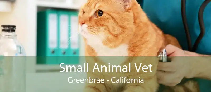 Small Animal Vet Greenbrae - California