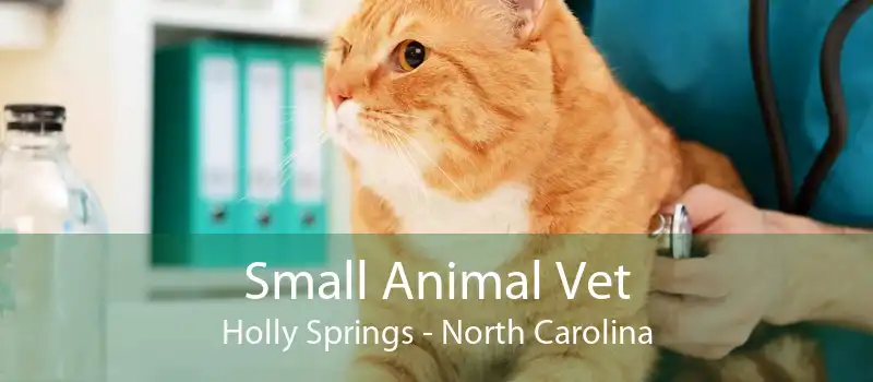 Small Animal Vet Holly Springs - North Carolina
