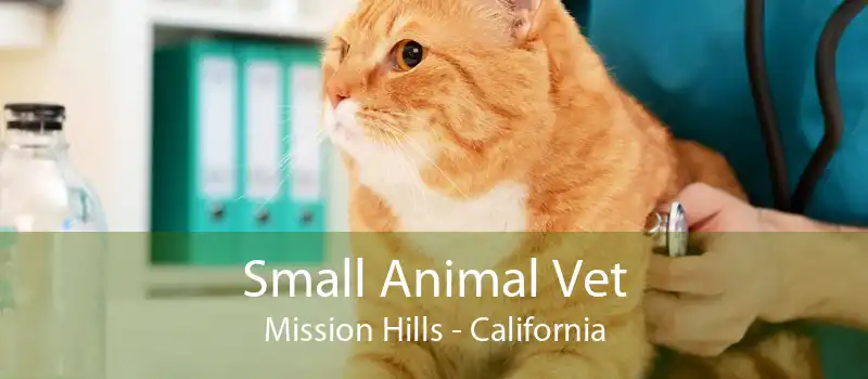 Small Animal Vet Mission Hills - California