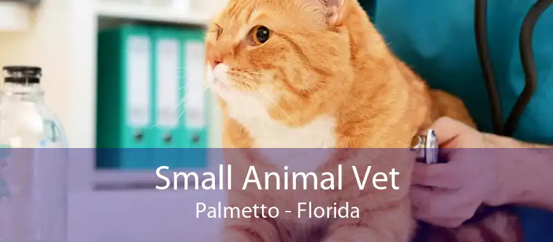 Small Animal Vet Palmetto - Florida