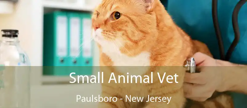 Small Animal Vet Paulsboro - New Jersey