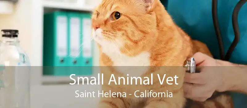 Small Animal Vet Saint Helena - California