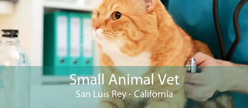 Small Animal Vet San Luis Rey - California