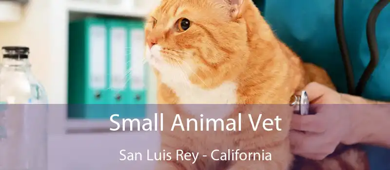 Small Animal Vet San Luis Rey - California